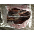 frozen whole round squid argentina calamary squid illex 400-600g